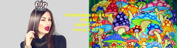 круглые Нестеровская