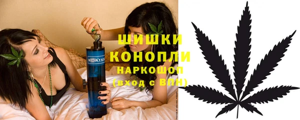 СК Елабуга