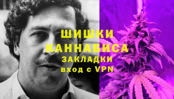прущие грибы Фёдоровский