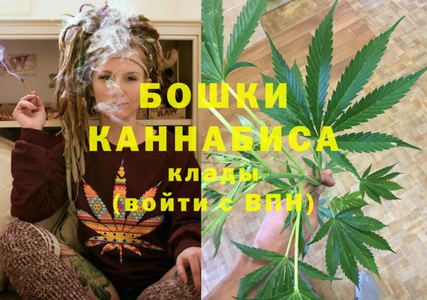 гидропоника Ельня